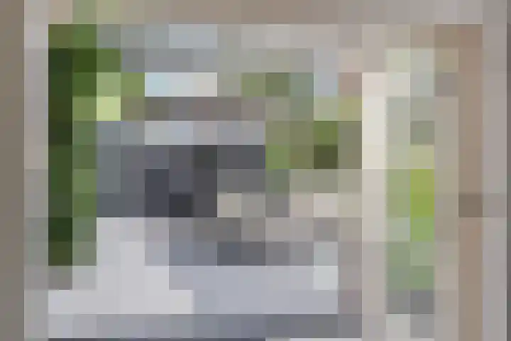 Bovenste Eind 12 Echt thumbnail 70