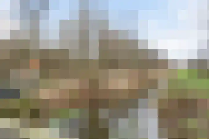 Bovenste Eind 12 Echt thumbnail 73