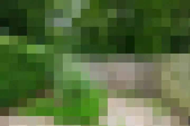 Bovenste Eind 12 Echt thumbnail 82