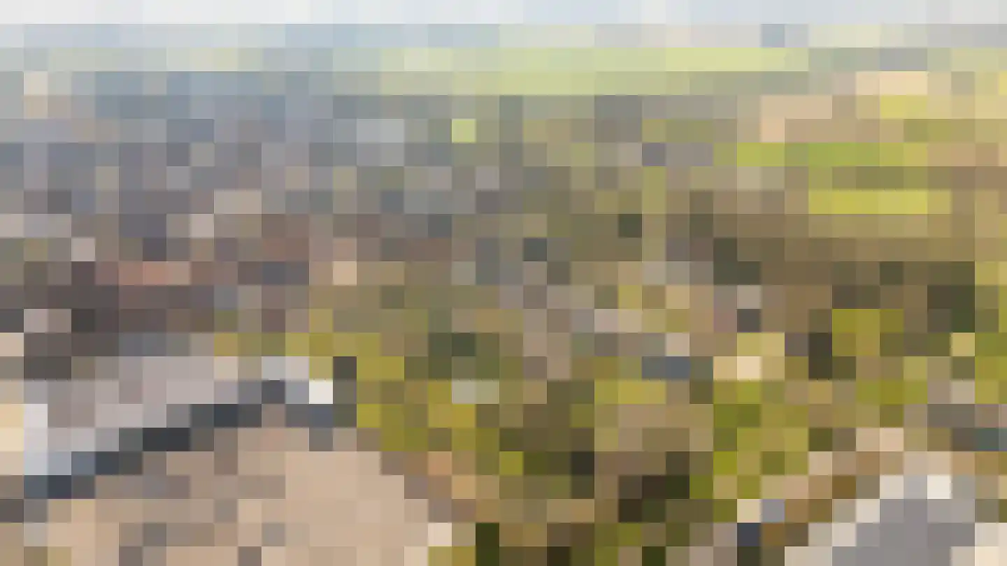 Bovenste Eind 12 Echt thumbnail 84