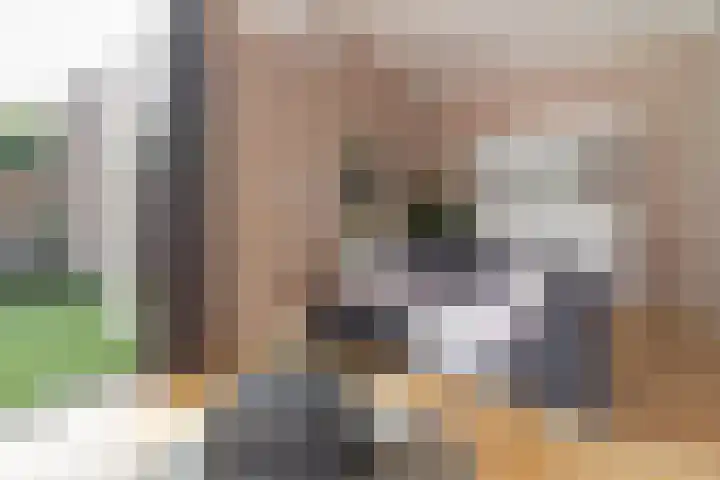 Bovenste Eind 21 Echt thumbnail 17