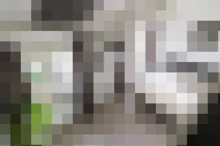 Bovenste Eind 21 Echt thumbnail 25