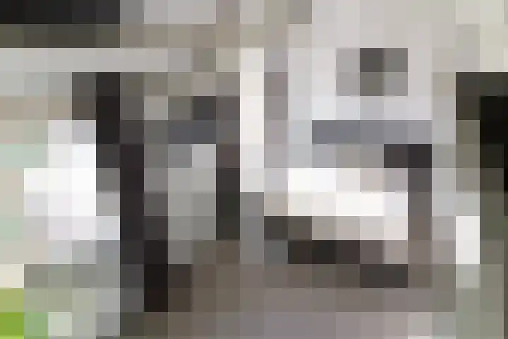 Bovenste Eind 21 Echt thumbnail 26