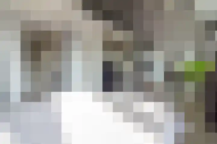 Bovenste Eind 21 Echt thumbnail 27