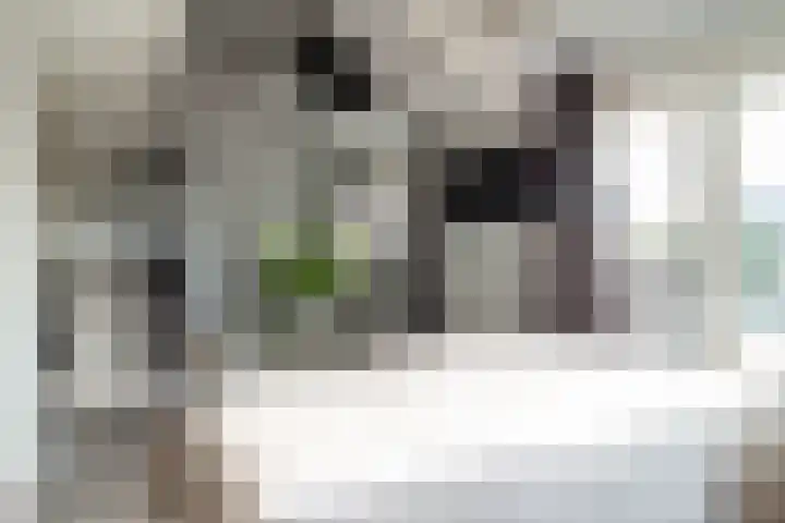 Bovenste Eind 21 Echt thumbnail 28