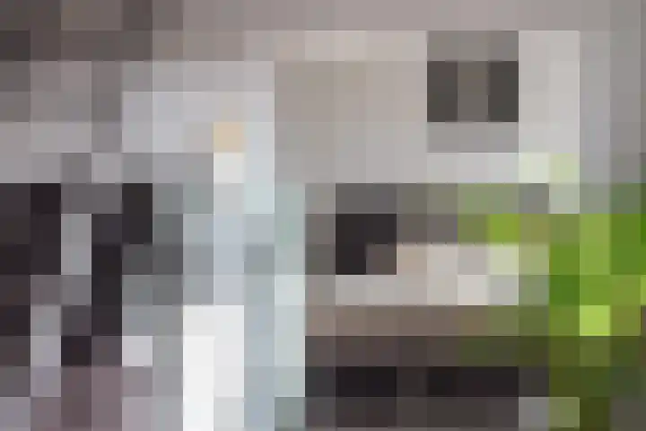 Bovenste Eind 21 Echt thumbnail 29