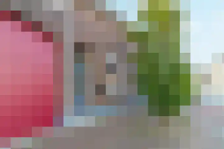 Bovenste Eind 21 Echt thumbnail 6
