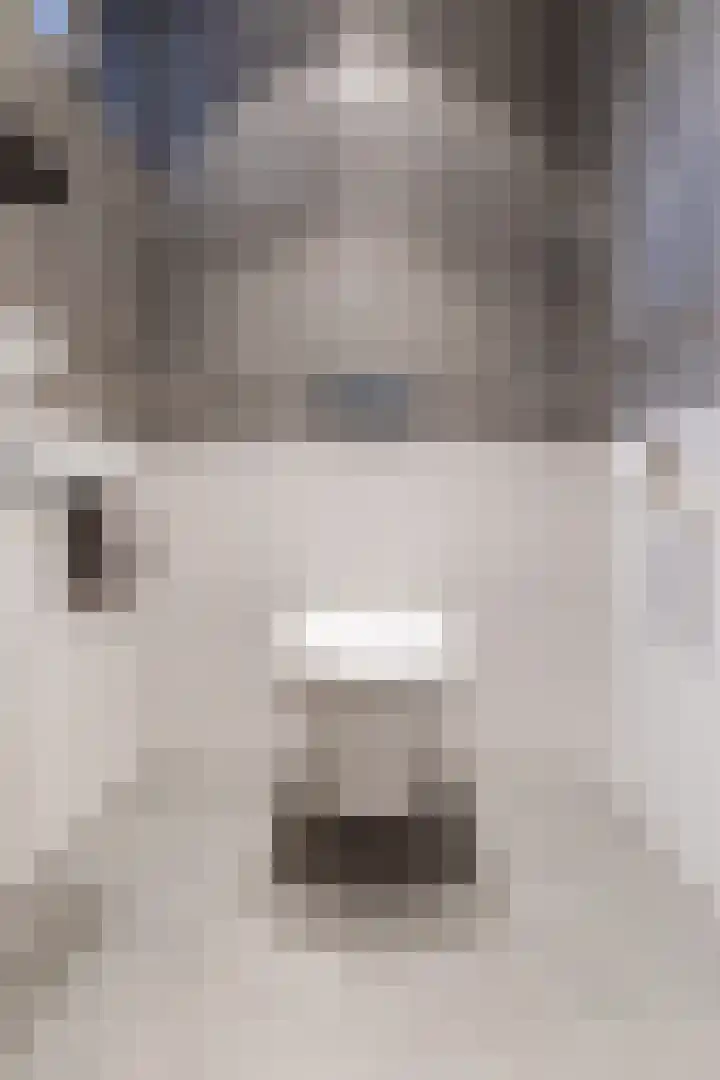 Bovenste Eind 22 Echt thumbnail 13