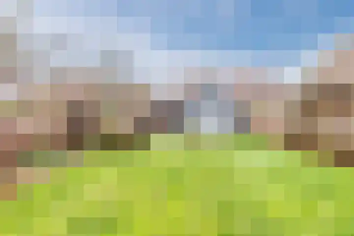 Bovenste Eind 22 Echt thumbnail 4