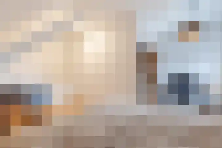 Bovenste Eind 22 Echt thumbnail 46