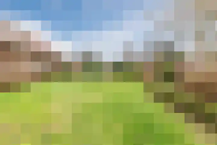 Bovenste Eind 22 Echt thumbnail 64