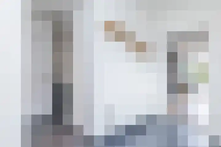 Bovenste Puth 10 Puth thumbnail 14