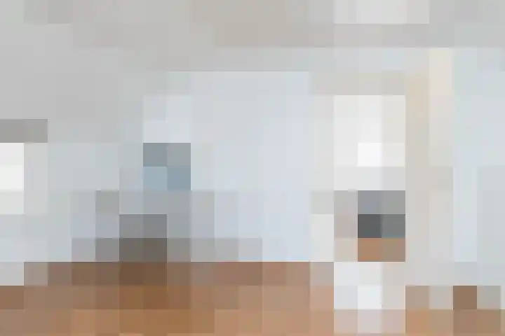 Bovenste Puth 10 Puth thumbnail 21