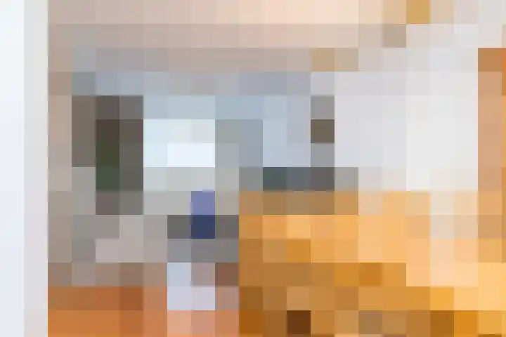 Bovenste Puth 67 Puth thumbnail 9