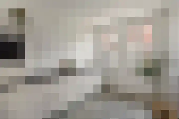 Bovenste straat 44 A Echt thumbnail 18