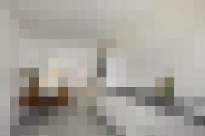 Bovenste straat 44 A Echt thumbnail 20