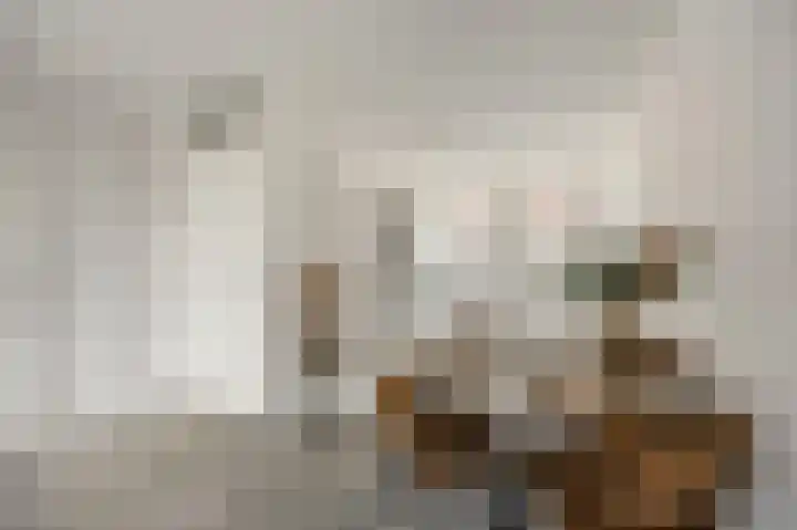 Bovenste straat 44 A Echt thumbnail 21