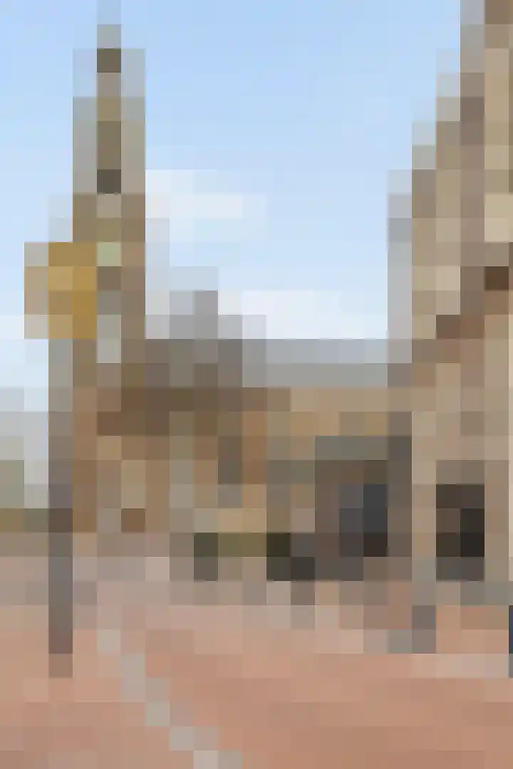 Bovenste straat 44 A Echt thumbnail 48