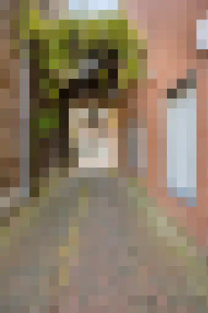 Bovenste straat 68 A Echt thumbnail 5