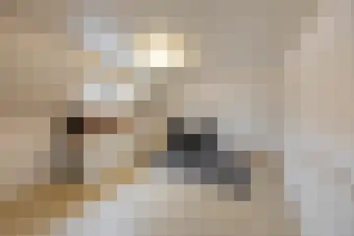 Bovenste straat 73 B Echt thumbnail 19