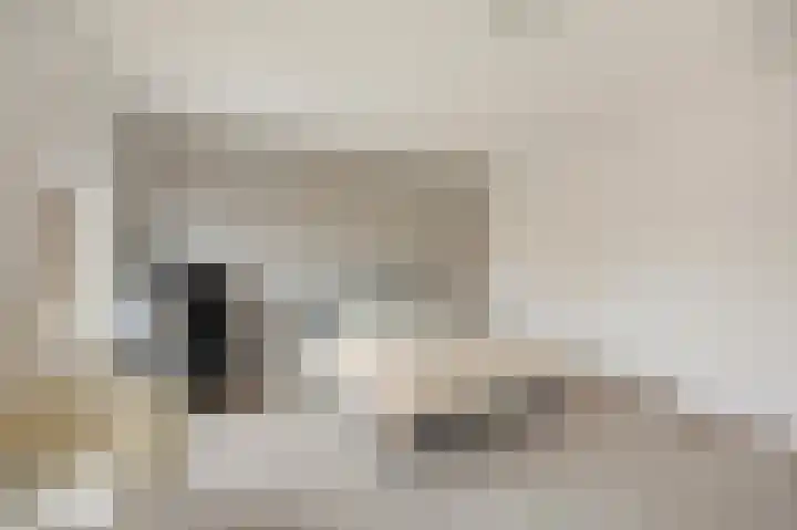 Bovenste straat 73 B Echt thumbnail 21