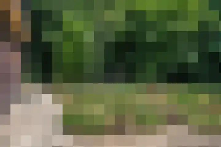 Bovensteweg 34 Mook thumbnail 26