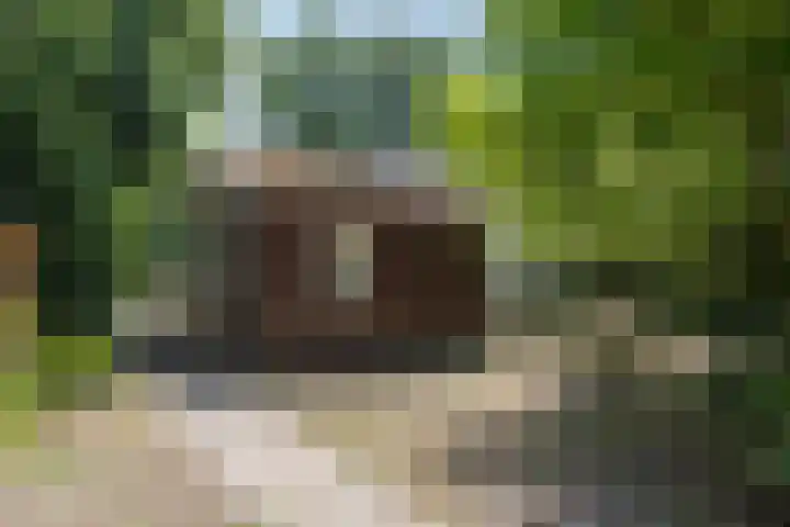Bovensteweg 34 Mook thumbnail 27