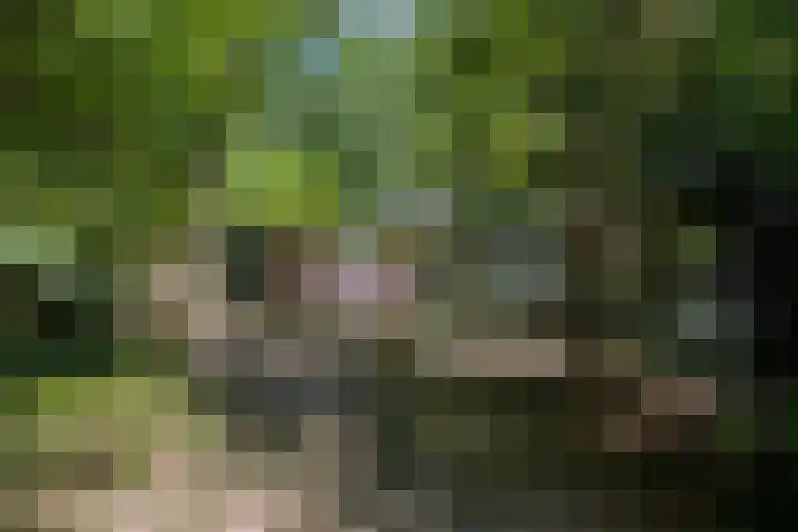 Bovensteweg 34 Mook thumbnail 29