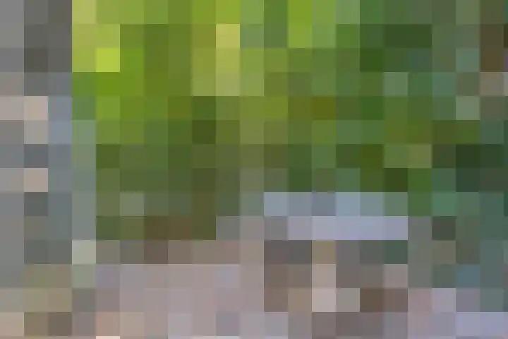 Bovensteweg 34 Mook thumbnail 30