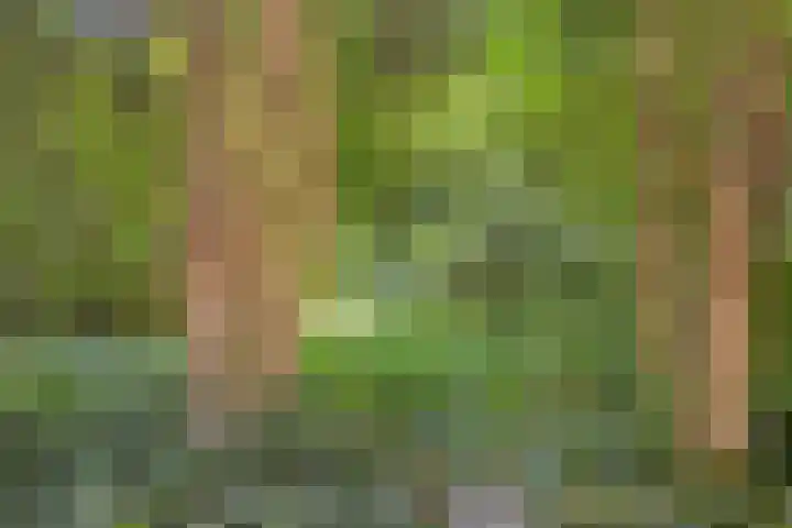 Bovensteweg 34 Mook thumbnail 31