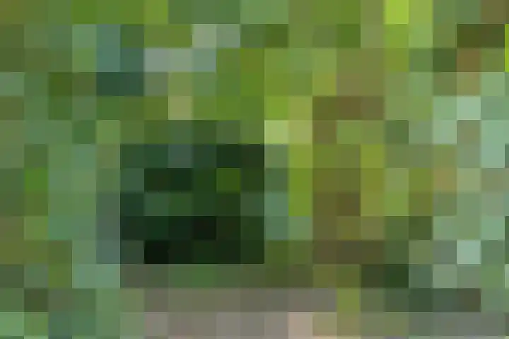 Bovensteweg 34 Mook thumbnail 35
