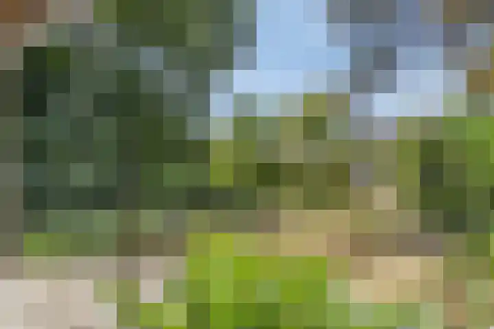 Bovensteweg 34 Mook thumbnail 36