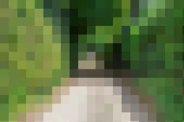 Bovensteweg 34 Mook thumbnail 37