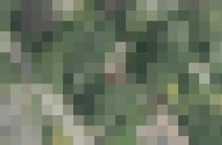 Bovensteweg 34 Mook thumbnail 40