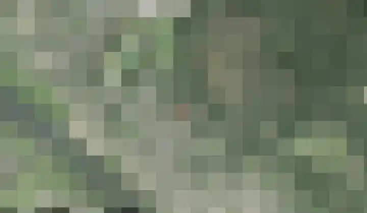 Bovensteweg 34 Mook thumbnail 41