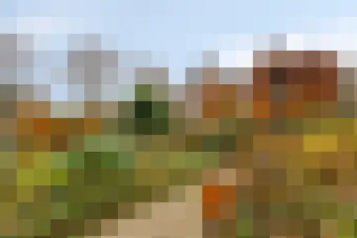 Bovensteweg 41 Mook thumbnail 33