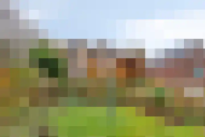 Bovensteweg 41 Mook thumbnail 34