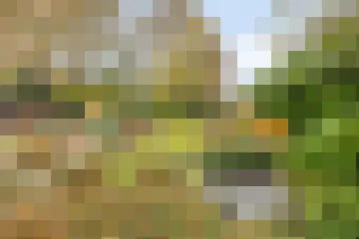 Bovensteweg 41 Mook thumbnail 37