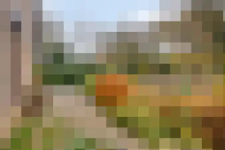 Bovensteweg 41 Mook thumbnail 38