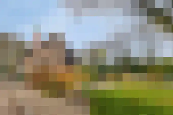 Bovensteweg 41 Mook thumbnail 41