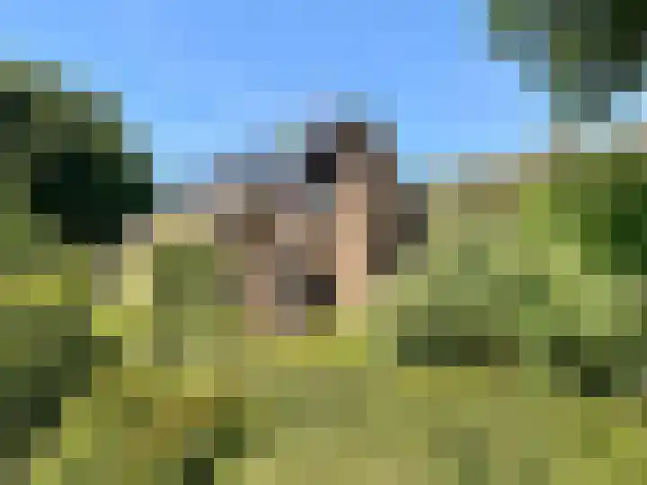 Bovensteweg 41 Mook thumbnail 44