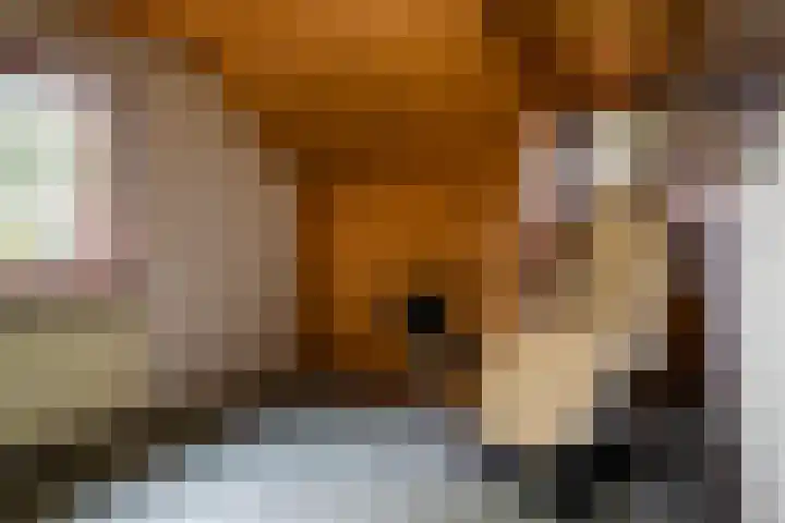 Bovenstraat 43 Hoeven thumbnail 35