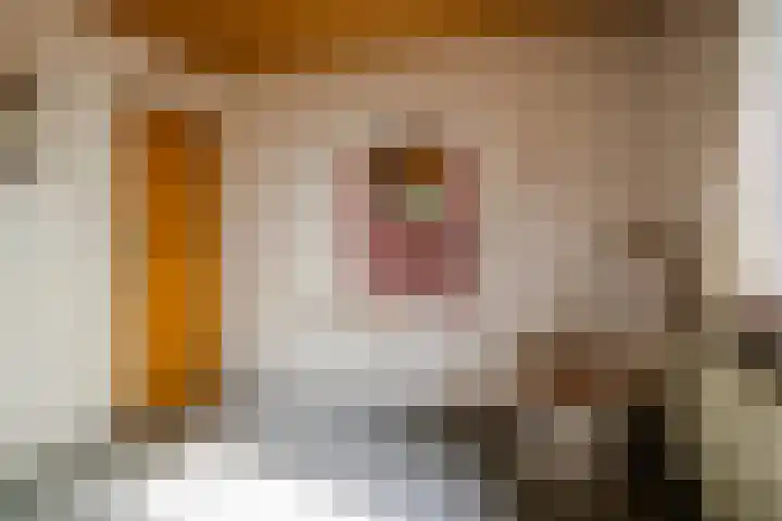 Bovenstraat 43 Hoeven thumbnail 36