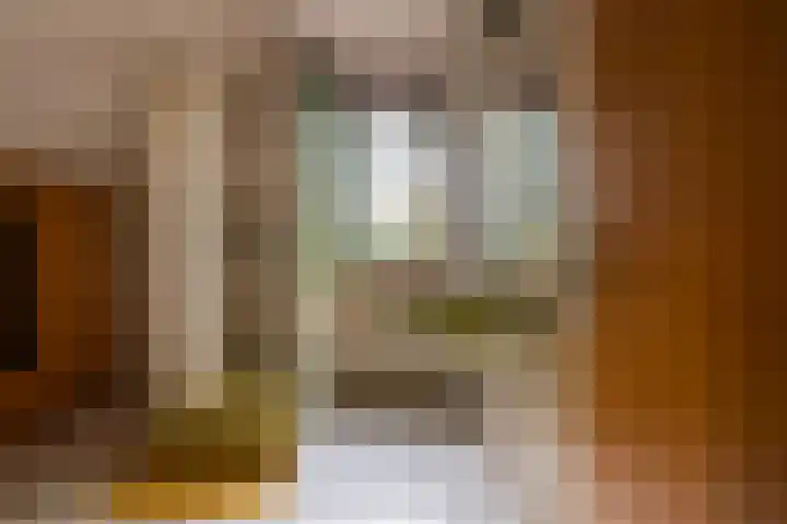 Bovenstraat 43 Hoeven thumbnail 39