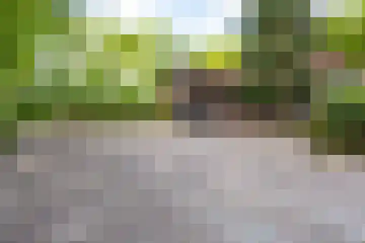 Bovenstraat 43 Hoeven thumbnail 48