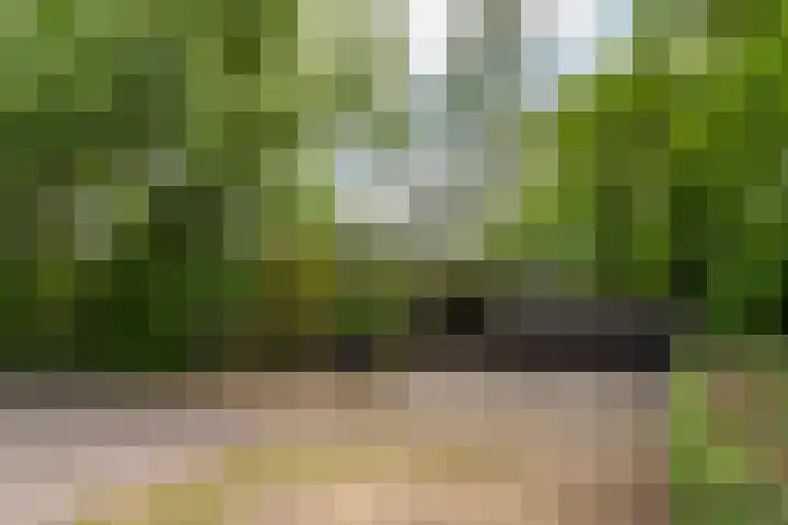 Bovenstraat 43 Hoeven thumbnail 51