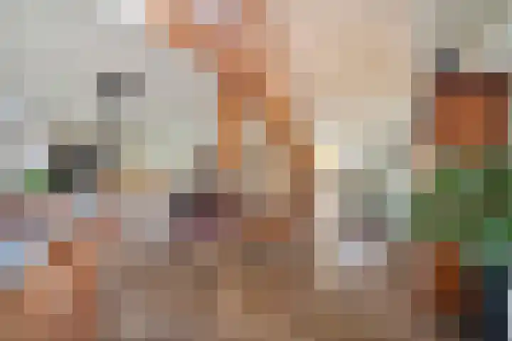 Bovenweg 3 't Harde thumbnail 18