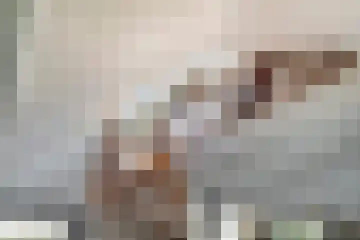 Bovenweg 3 't Harde thumbnail 21