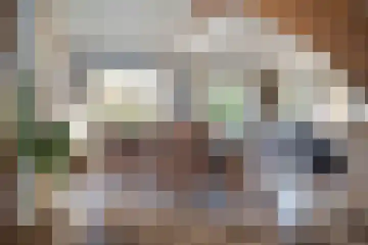 Bovenweg 3 't Harde thumbnail 22