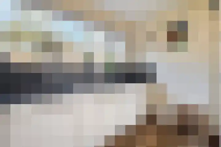 Bovenweg 3 't Harde thumbnail 30